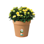 green basics growpot 40cm mild terra